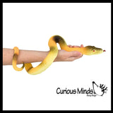 Jumbo Grow a Snake in Water - Add Water and it Grows - Critter Toy Add Water and it Grows up to 24" - Reptile Lover Gift - Fun Critter Toy