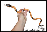 Jumbo Grow a Snake in Water - Add Water and it Grows - Critter Toy Add Water and it Grows up to 24" - Reptile Lover Gift - Fun Critter Toy