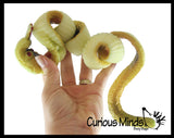 Jumbo Grow a Snake in Water - Add Water and it Grows - Critter Toy Add Water and it Grows up to 24" - Reptile Lover Gift - Fun Critter Toy