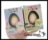 Set of 2 - Hatch and Grow a Animal Egg in Water - ALLIGATOR and TURTLE - Add Water and it Grows Gator - Critter Toy Bath - Soak in Water and It Expands