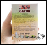 Set of 2 - Hatch and Grow a Animal Egg in Water - ALLIGATOR and TURTLE - Add Water and it Grows Gator - Critter Toy Bath - Soak in Water and It Expands