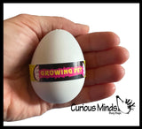 Hatch and Grow a Dinosaur Egg in Water - Add Water and it Grow - Critter Toy Bath