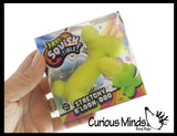 Scented Balloon Dog Crunchy Sand Filled Stress Ball - Cute Squishy Sensory Fidget Toy - Party Favors & Prizes