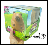 NEW - Jumbo 5.75" Capybara Doh Filled Squishy Squeeze Stress Ball Soft Doh Filling - Sensory, Fidget Toy