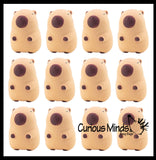 NEW - Jumbo Capybara Doh Filled Squishy Squeeze Stress Ball Soft Doh Filling - Sensory, Fidget Toy