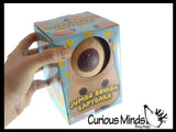 NEW - Jumbo Capybara Doh Filled Squishy Squeeze Stress Ball Soft Doh Filling - Sensory, Fidget Toy