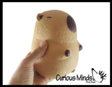 NEW - Jumbo Capybara Doh Filled Squishy Squeeze Stress Ball Soft Doh Filling - Sensory, Fidget Toy