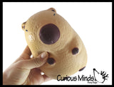 NEW - Jumbo Capybara Doh Filled Squishy Squeeze Stress Ball Soft Doh Filling - Sensory, Fidget Toy