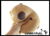 NEW - Jumbo Capybara Doh Filled Squishy Squeeze Stress Ball Soft Doh Filling - Sensory, Fidget Toy
