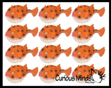 NEW - Jumbo Fish (Clownfish, Blue Tang, Pufferfish) Water Bath Squirter Toy - Huge Water Soaker Gun For Pool Outdoor Play