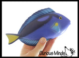 NEW - Jumbo Fish (Clownfish, Blue Tang, Pufferfish) Water Bath Squirter Toy - Huge Water Soaker Gun For Pool Outdoor Play