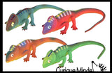 Jumbo Grow a Lizard in Water - Add Water and it Grows - Critter Toy Bath