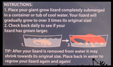 Jumbo Grow a Lizard in Water - Add Water and it Grows - Critter Toy Bath
