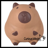 NEW - Jumbo 5.75" Capybara Doh Filled Squishy Squeeze Stress Ball Soft Doh Filling - Sensory, Fidget Toy