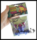 Large Grow a Frog in Water - Add Water and it Grows - Frog Critter Toy Bath