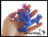 Large Grow a Frog in Water - Add Water and it Grows - Frog Critter Toy Bath