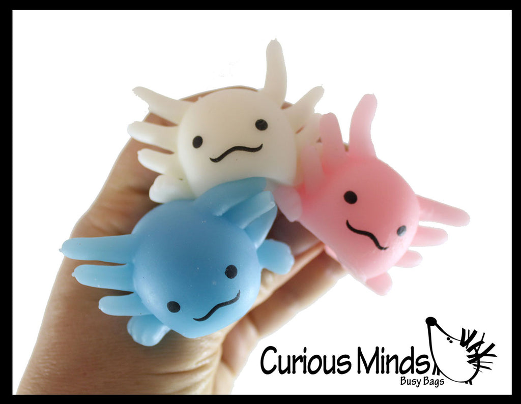 Axolotl Large Mochi - Cute Animal Gummy Mochi Fidget Squishy Animals - Cute Individually Wrapped Toys - Sensory, Stress, Fidget Party Favor Toy