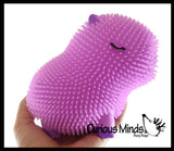 NEW - Capybara 6" Puffer Air- Filled Squeeze Stress Balls - Large Rodent  -  Sensory, Stress, Fidget Toy