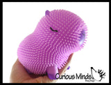NEW - Capybara 6" Puffer Air- Filled Squeeze Stress Balls - Large Rodent  -  Sensory, Stress, Fidget Toy