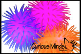 FREE GIFT with $50.00 Purchase - Your Choice
