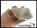 Cute Grey Harbor Seal Plush Stuffed Animals- Adorable Mini Plushie Stuffie