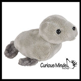 Cute Grey Harbor Seal Plush Stuffed Animals- Adorable Mini Plushie Stuffie