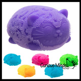 IN STOCK - NeeDoh Wildcat Fuzzball Cat Soft Doh Filled Stretch Ball - Ultra Squishy and Moldable Relaxing Sensory Fidget Stress Toy Nee Doh Fuzz