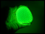 Orb Gumdrop Glow in the Dark Sugar Ball - Thick Glue/Gel Stretch Ball - Ultra Squishy and Moldable Slow Rise Relaxing Sensory Fidget Stress Toy
