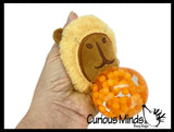 Plush Capybara Bead Filled Squeeze Stress Balls - Sensory, Stress, Fidget Toy Bubble Blow