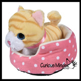 NEW - Cute Cat and Dog Pet in Bed Stuffed Animal Plush Toy - Adorable Stuffie with Pet Bed