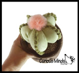 Plush Plant - Potted Succulent Cactus - Cute Artificial Home Decor - Cute Stuffed Animal