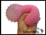 Blob Fish 4" Puffer Ball - Cute Small Novelty Toy - Party Favors - Air Filled Sensory Fidget Toys Ugly Fish