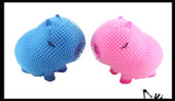 NEW - Capybara 6" Puffer Air- Filled Squeeze Stress Balls - Large Rodent  -  Sensory, Stress, Fidget Toy