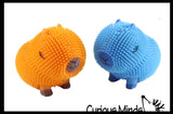 NEW - Capybara 6" Puffer Air- Filled Squeeze Stress Balls - Large Rodent  -  Sensory, Stress, Fidget Toy