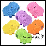 NEW - Capybara 6" Puffer Air- Filled Squeeze Stress Balls - Large Rodent  -  Sensory, Stress, Fidget Toy