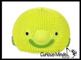 Blob Fish 4" Puffer Ball - Cute Small Novelty Toy - Party Favors - Air Filled Sensory Fidget Toys Ugly Fish