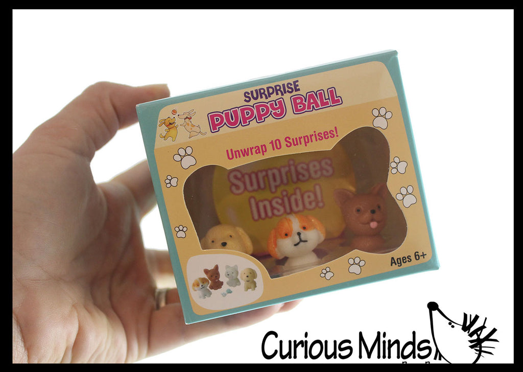 Puppy Dog Themed Surprise Box - Blind Bag Toy Set - Mini Toy Figures and Accessories