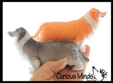 Stretchy Collie Dog Crushed Bead Sand Filled - Doggy Lover Sensory Fidget Toy Weighted