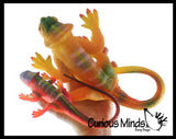 Jumbo Grow a Lizard in Water - Add Water and it Grows - Critter Toy Bath