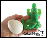 Set of 3 - Hatch and Grow a Animal Egg in Water - DINO, ALLIGATOR and TURTLE - Add Water and it Grows Gator - Critter Toy Bath - Soak in Water and It Expands