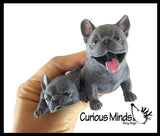 FREE GIFT with $50.00 Purchase - Your Choice