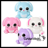 Bunny Splat Ball -  Water Filled Splat Stress Ball - Throw to Make it Splat and Watch it Come Back - Easter Rabbit