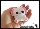 Bunny Splat Ball -  Water Filled Splat Stress Ball - Throw to Make it Splat and Watch it Come Back - Easter Rabbit
