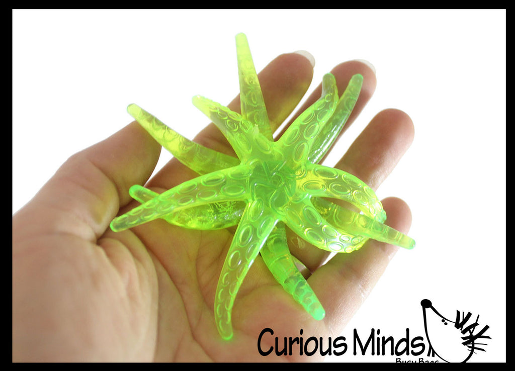 Sticky Starfish Wall Walker Tumblers Crawlers -  Fun Small Toy Prize Assortment Trick Ceiling Toy