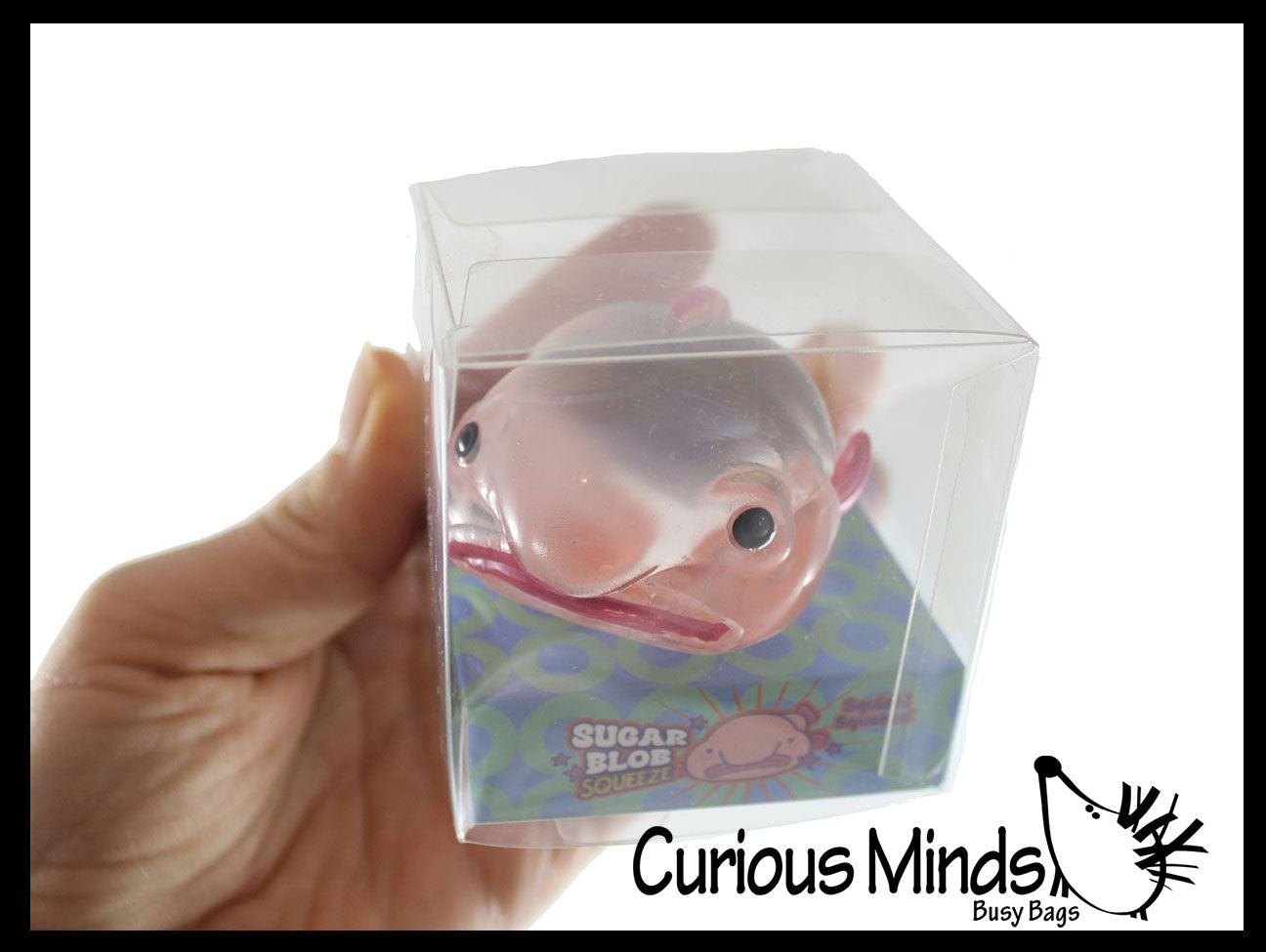 fidget box fish Blob Fish in Clear Box - Sugar Ugly and Cute Fish with Nose - Thick Gl