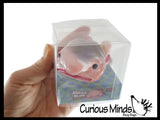 Blob Fish in Clear Box - Sugar Ugly and Cute Fish with Nose - Thick Glue/Gel Syrup Molasses Stretch Ball - Ultra Squishy and Moldable Slow Rise Relaxing Sensory Fidget Stress Toy