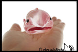 Blob Fish in Clear Box - Sugar Ugly and Cute Fish with Nose - Thick Glue/Gel Syrup Molasses Stretch Ball - Ultra Squishy and Moldable Slow Rise Relaxing Sensory Fidget Stress Toy