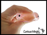 Blob Fish in Clear Box - Sugar Ugly and Cute Fish with Nose - Thick Glue/Gel Syrup Molasses Stretch Ball - Ultra Squishy and Moldable Slow Rise Relaxing Sensory Fidget Stress Toy