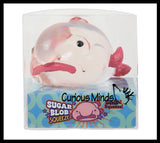 Blob Fish in Clear Box - Sugar Ugly and Cute Fish with Nose - Thick Glue/Gel Syrup Molasses Stretch Ball - Ultra Squishy and Moldable Slow Rise Relaxing Sensory Fidget Stress Toy