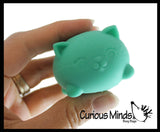 NeeDoh Teenie Cool Cat Groovy Soft Doh Filled Stretch Ball - Ultra Squishy and Moldable Relaxing Sensory Fidget Stress Toy Nee Doh